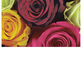 Select the Roses eVoucher