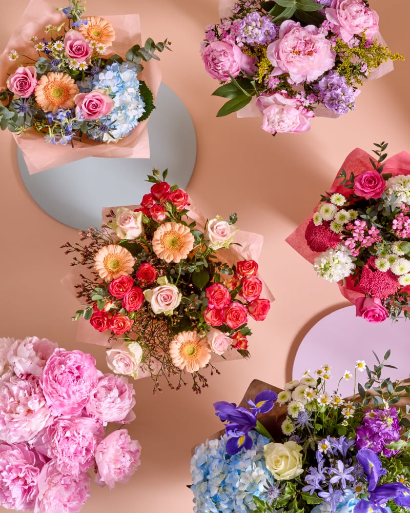 FLOWERS & PLANTS