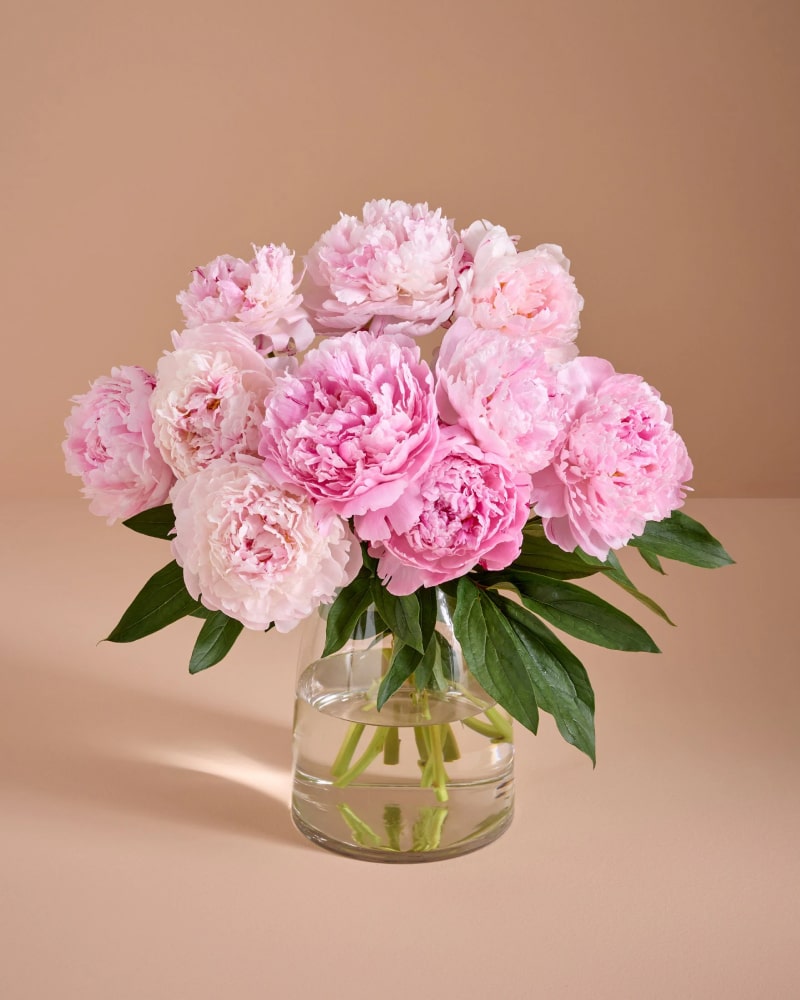 FLOWERS: PEONY SEASON