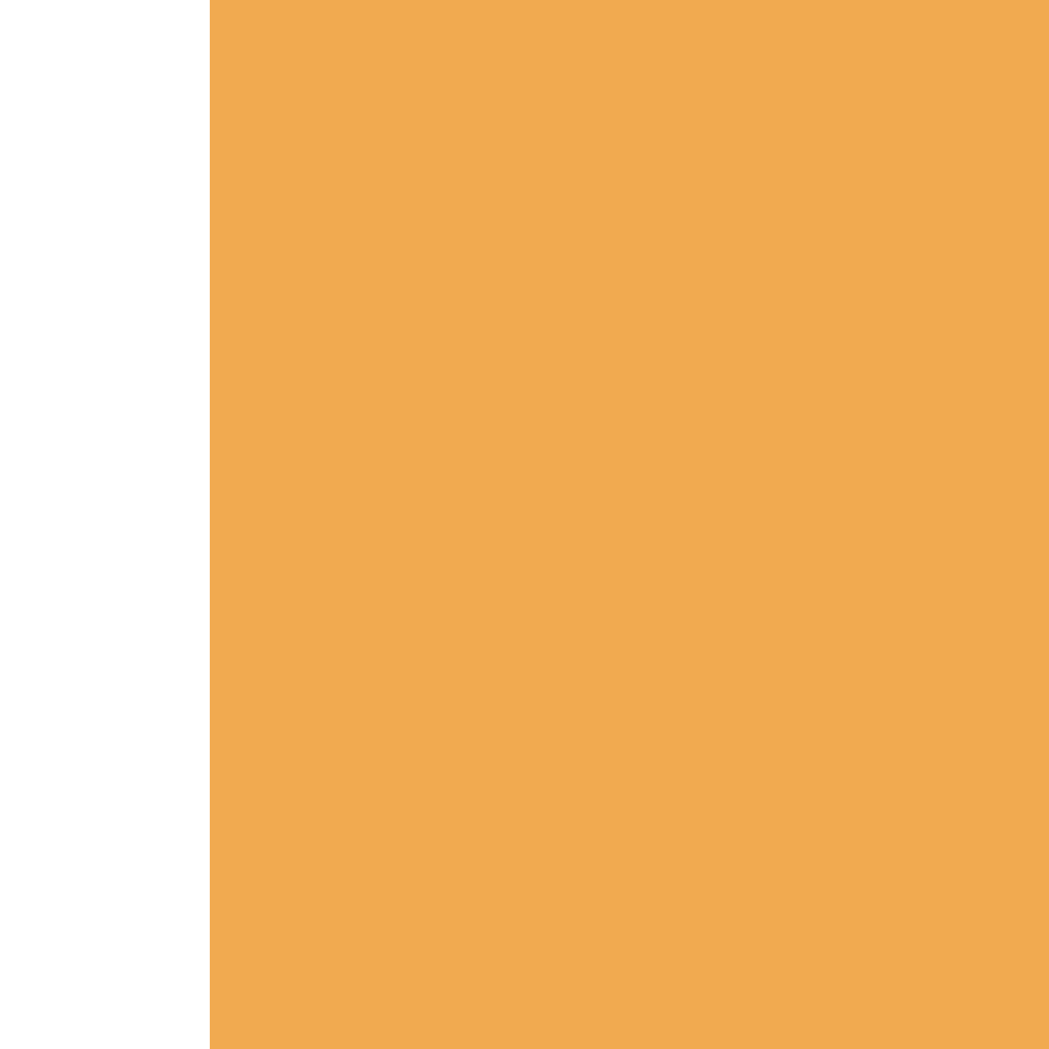 Orange_Left_Plain