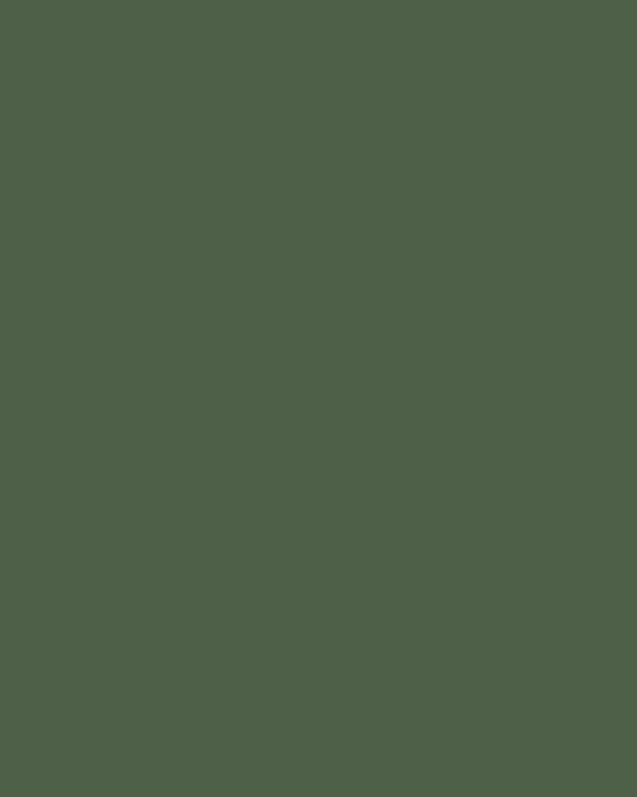 Copy BG