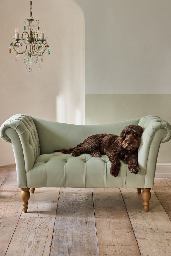 Shabby Chic by Rachel Ashwell® Sage Green Velvet Delilah Loveseat Sofa Accent Chair