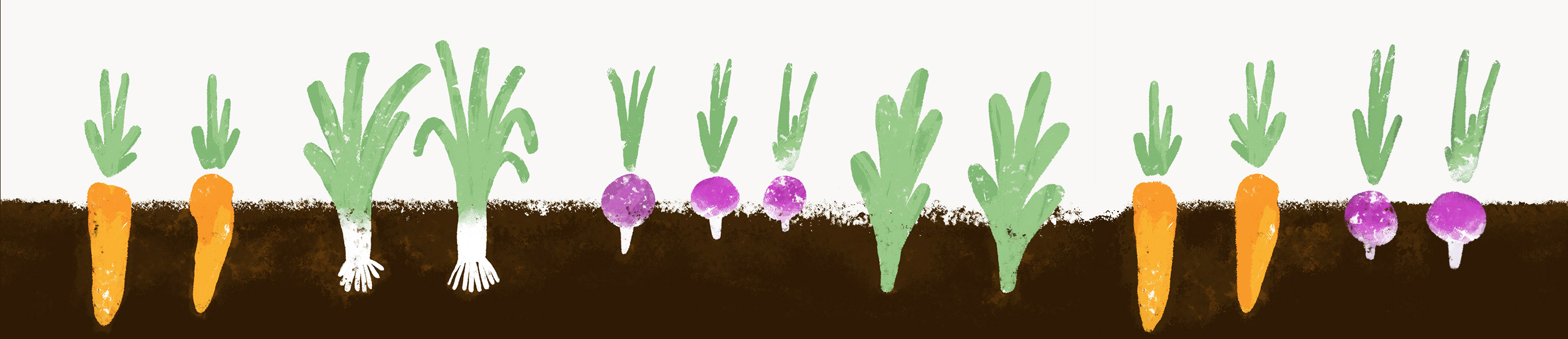 Vegetable-Banner-v3