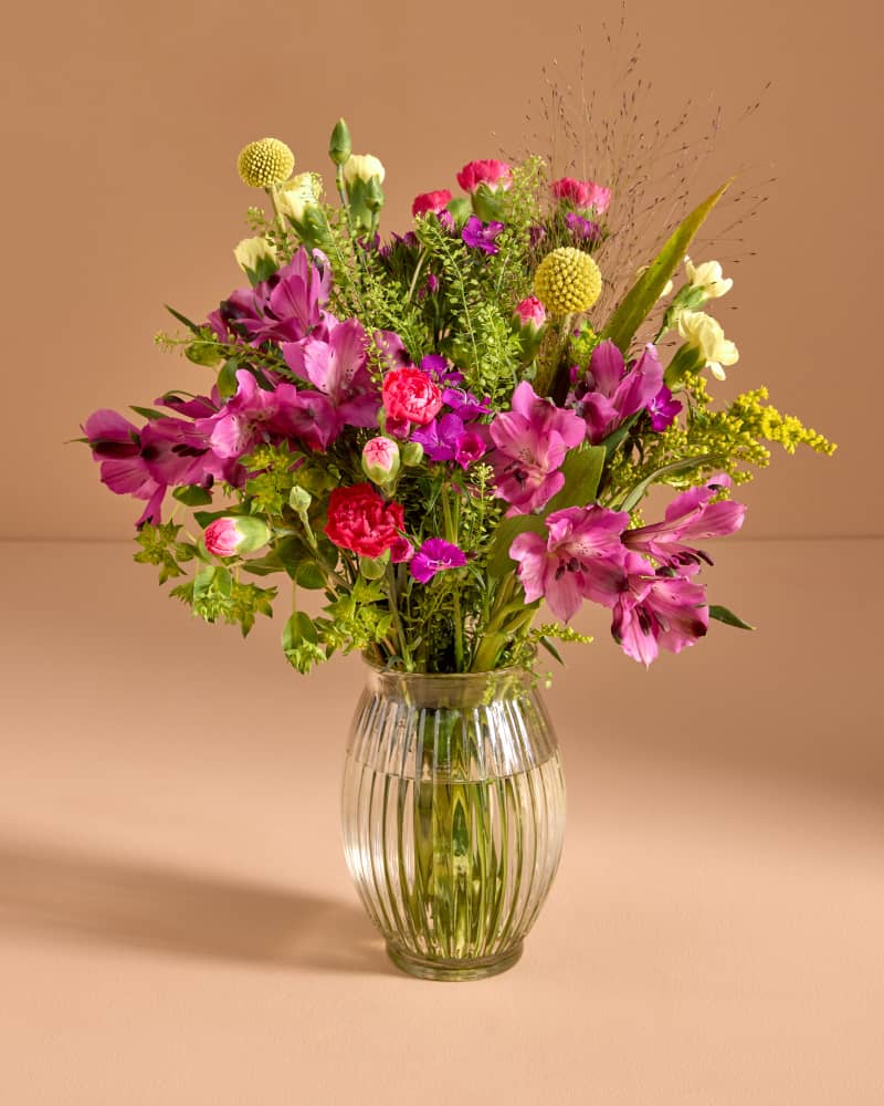 Letterbox Flowers