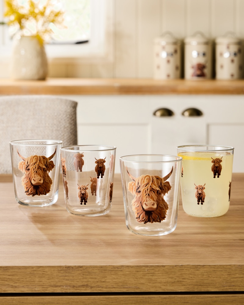 Set of 4 Clear Hamish the Highland Cow Tumblers