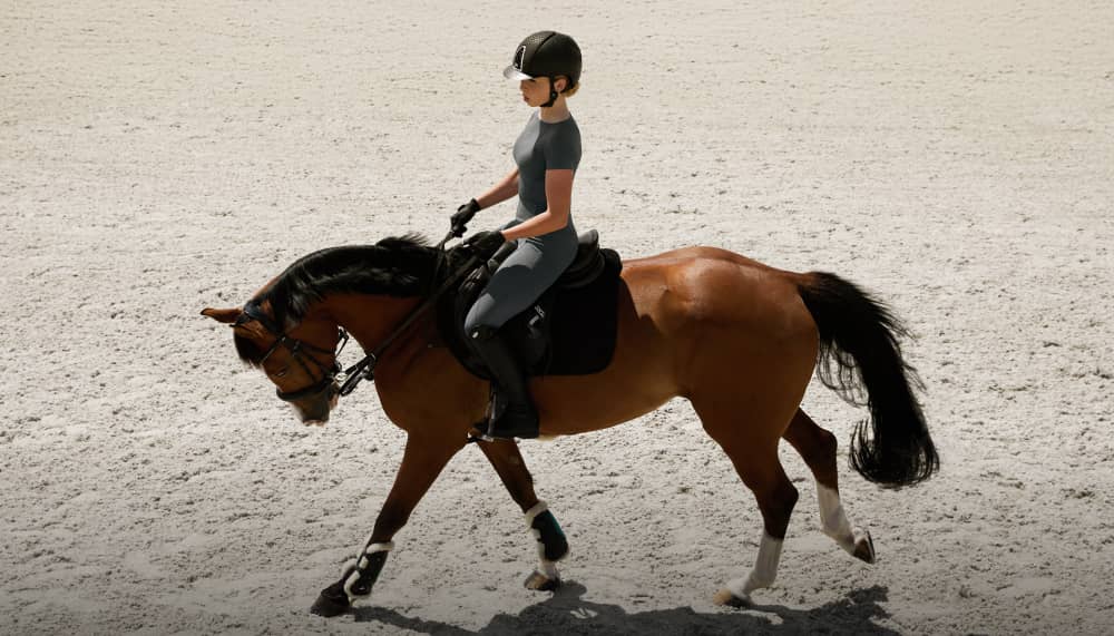 Equestrian Essentials