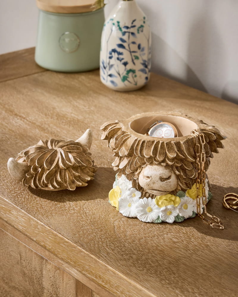 Natural Hamish The Highland Cow Trinket Pot