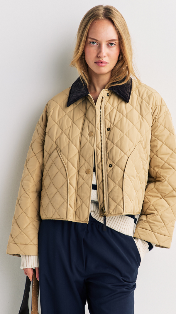 SEASONS_20260220_DTMB_MASONRYTILE16_V01