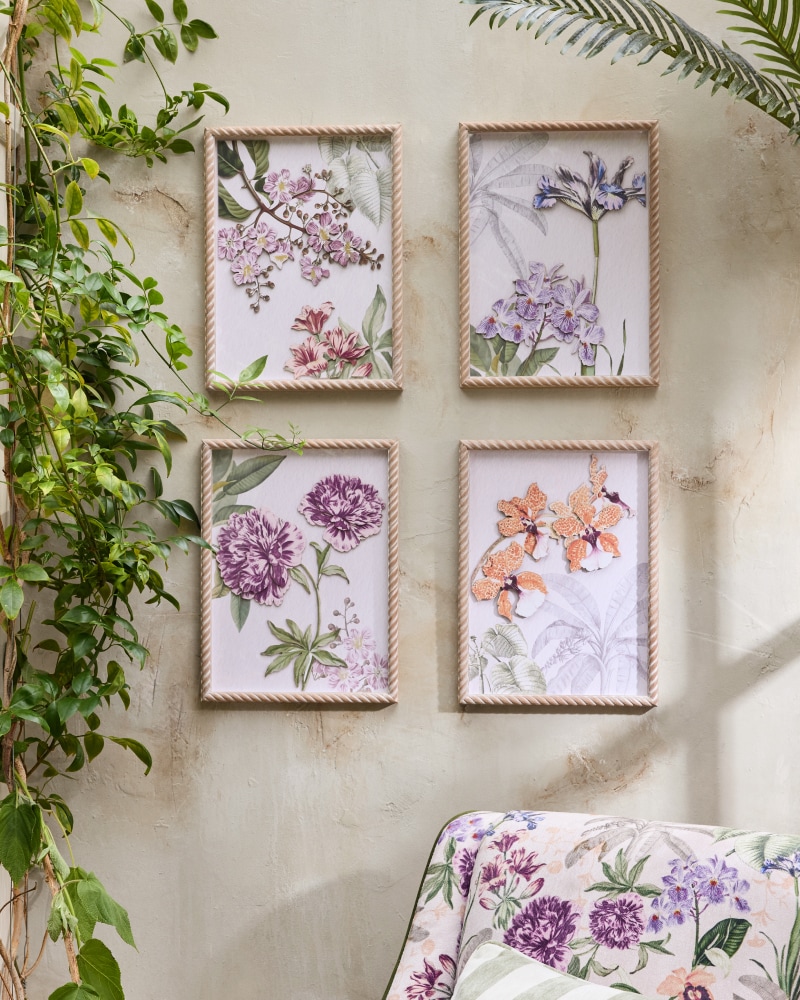 Kew Gardens Collection