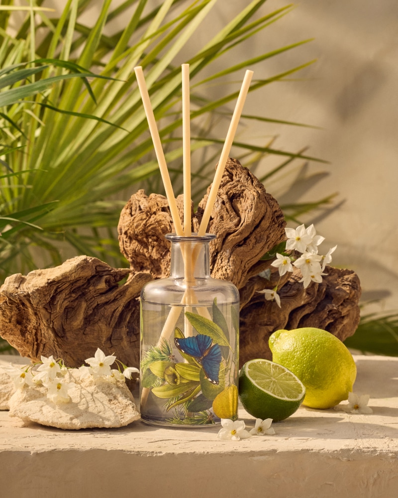 Kew Gardens Collection