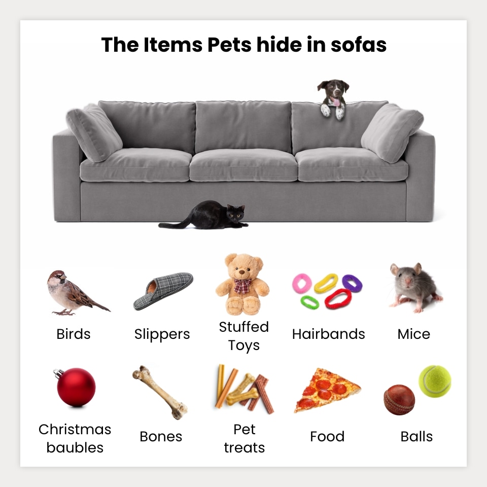 Items Pets Hide