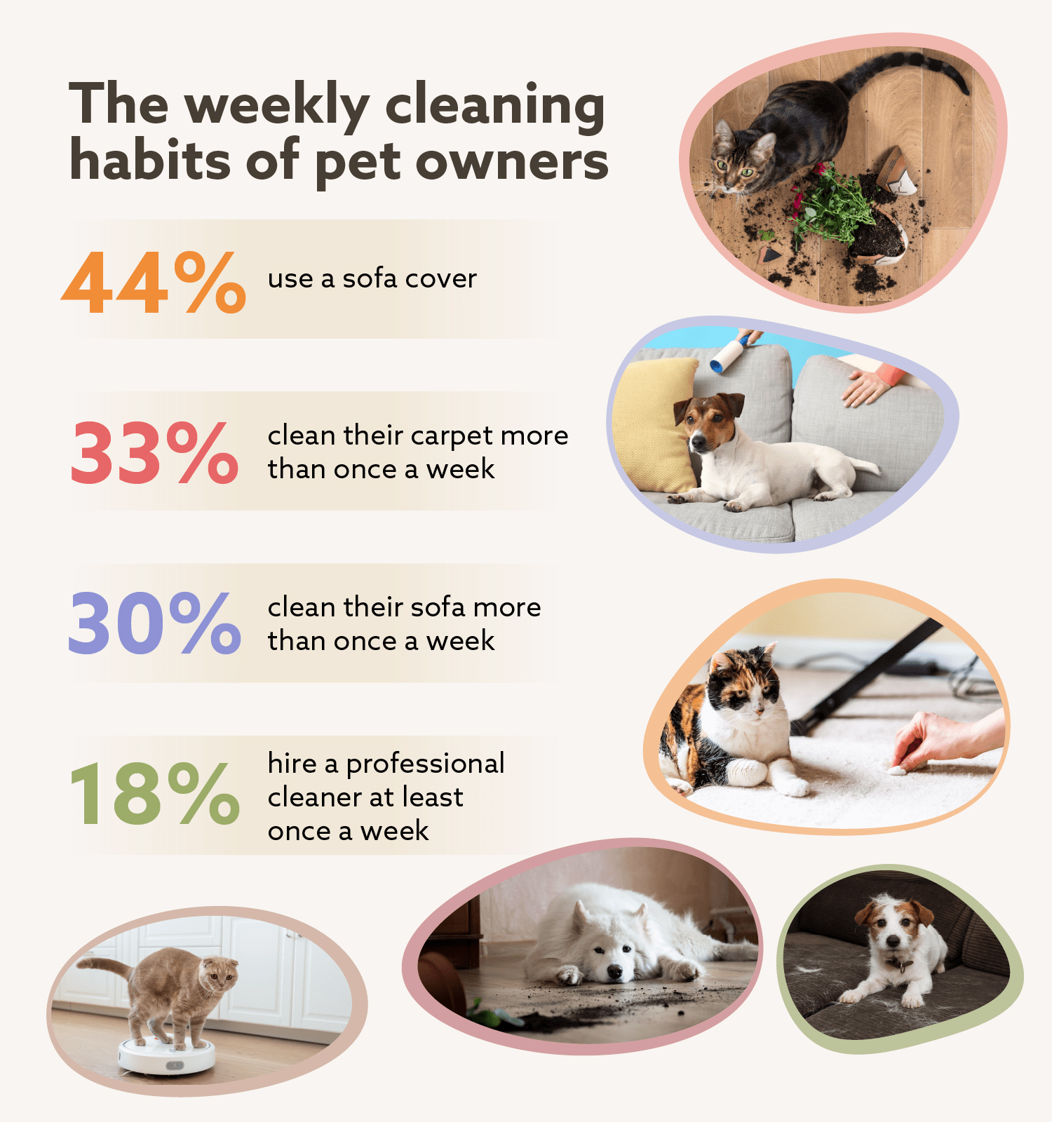cleaning-habits-data