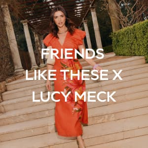 FRIENDS LIKE THESE X LUCY MECK