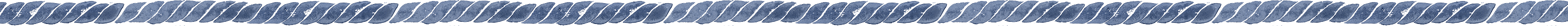rope_border1