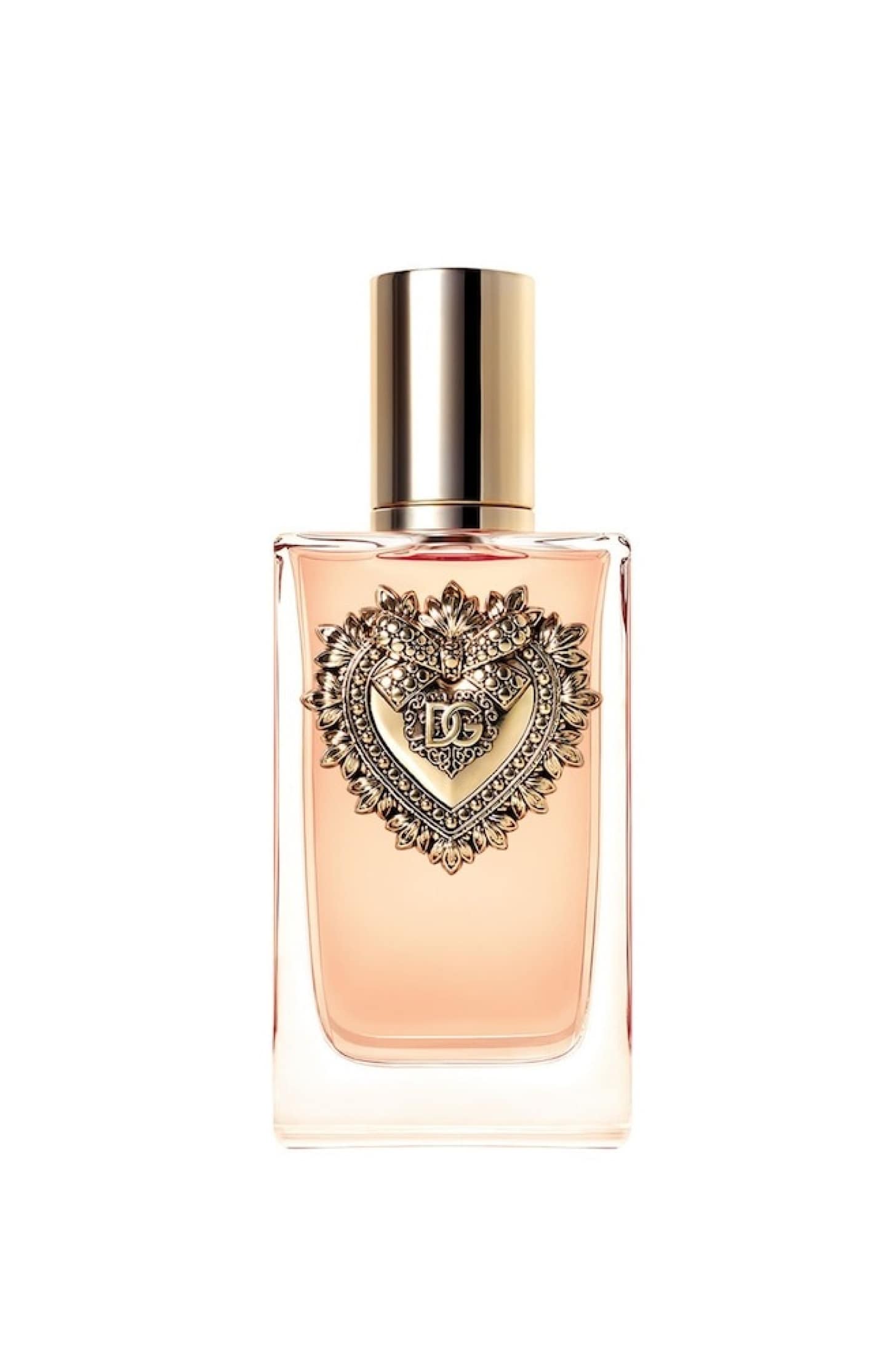 D&G-WhatsHot 2-min