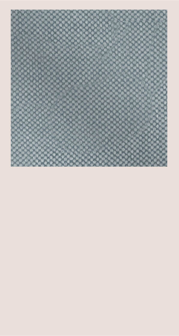 Swatch-Anneliese