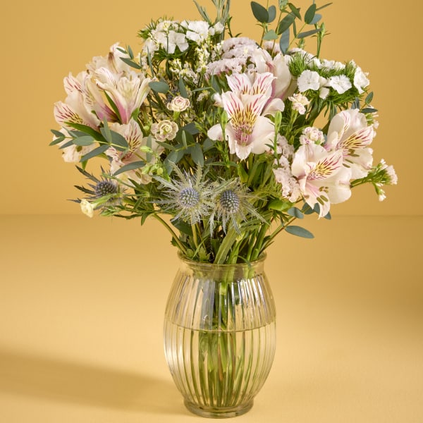 LETTERBOX FLOWERS