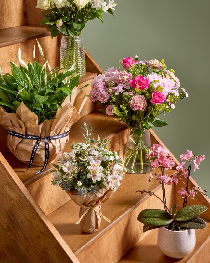 Flowers & Plants